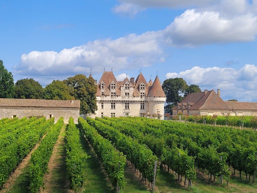Château et le vignoble.
