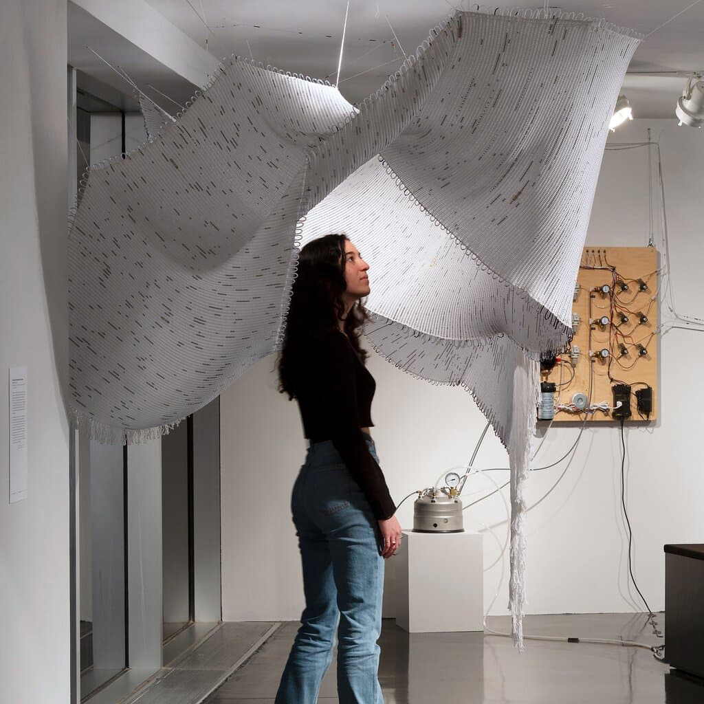 Installation view, "Radical Fiber: Threads Connecting Art and Science," 2022