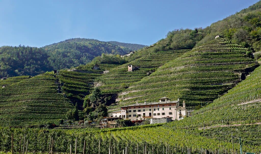 Tenuta La Gatta - Triacca (Valtellina)
