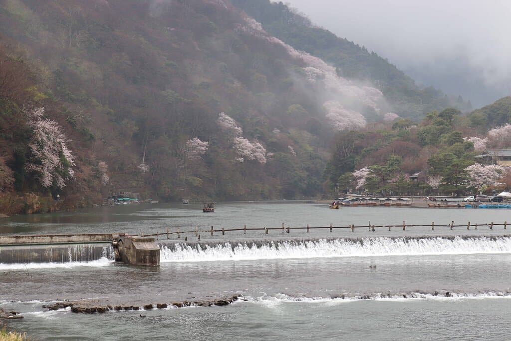 渡月橋の上流側が大堰川なんです