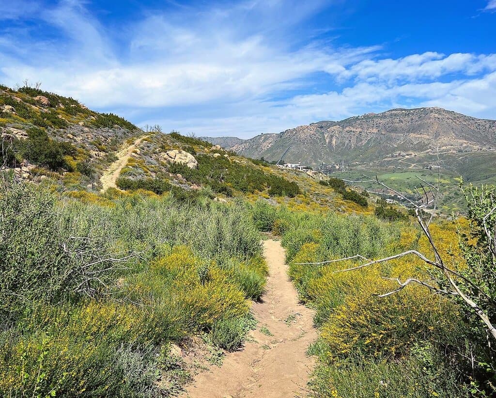 Coastal views and wildflowers