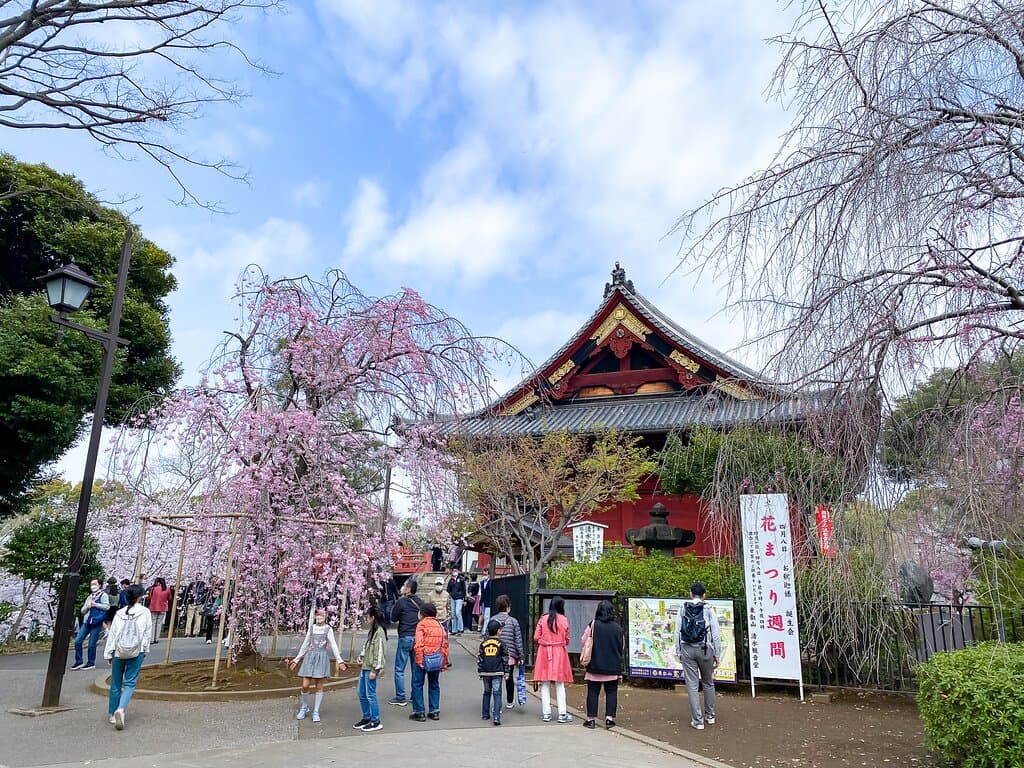 寛永寺 清水観音堂
