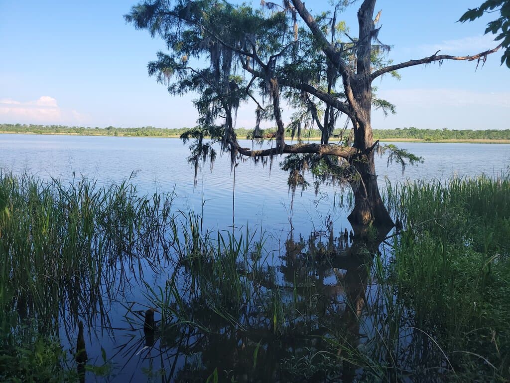 Historic Blakeley State Park