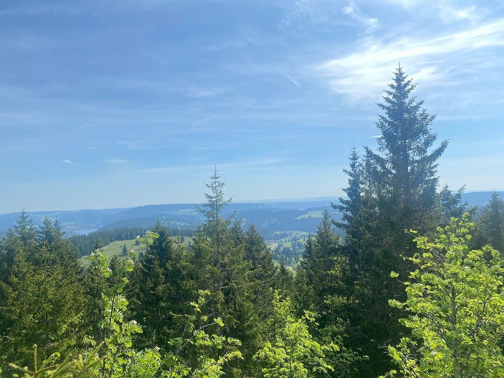 Zweiseenblick Viewpoint