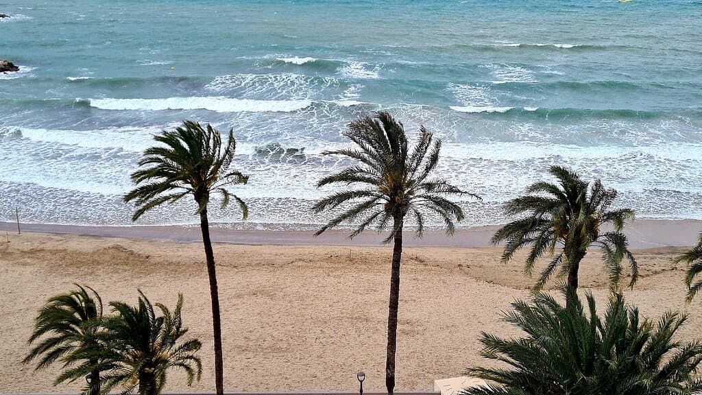 Parque de Elche