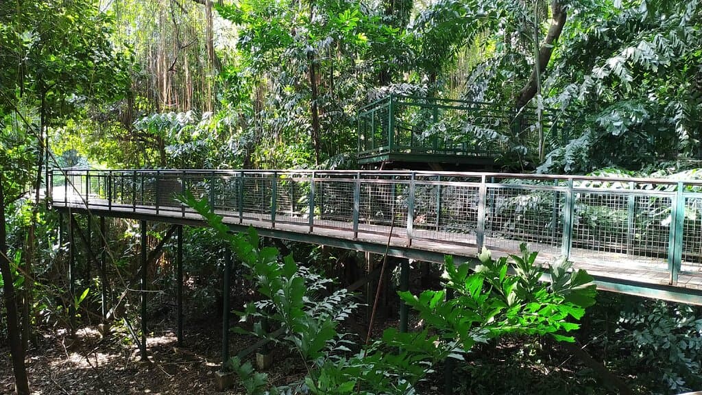 Babakan Siliwangi Forest Walk