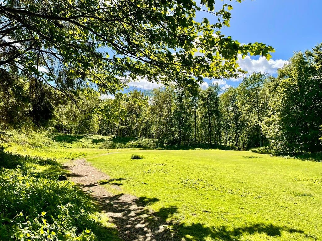 Causey Mounth Trail