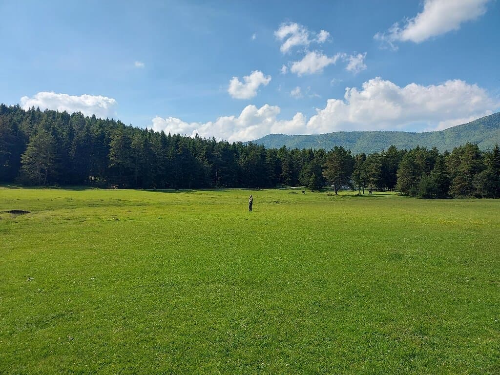 Bolu At yaylasi