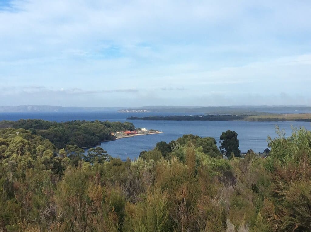 View from lookout area 
