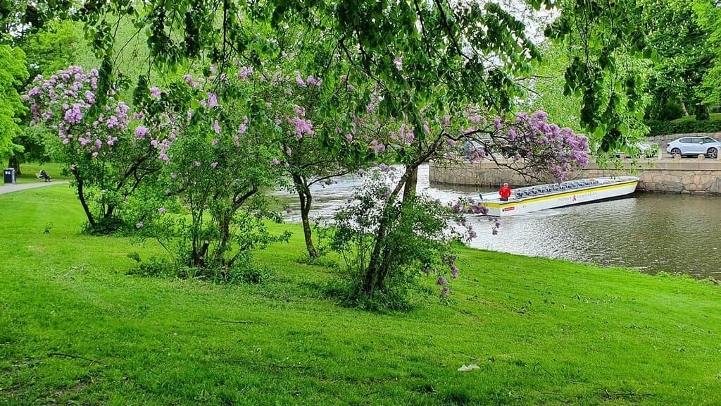 The canal