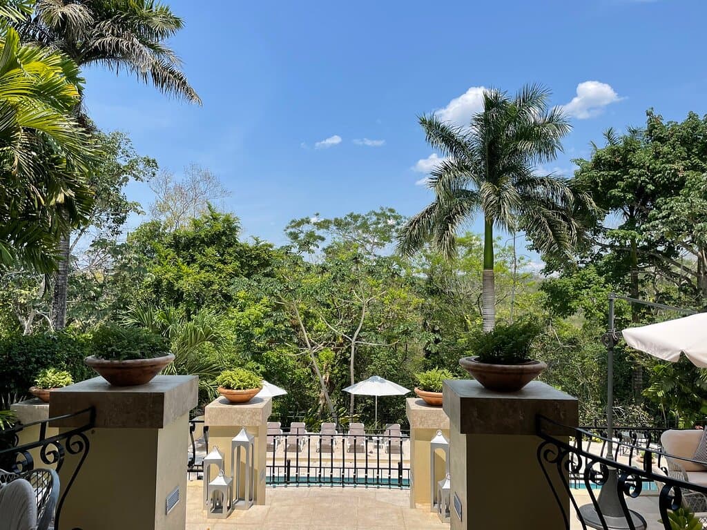 Green Iguana Conservation Project