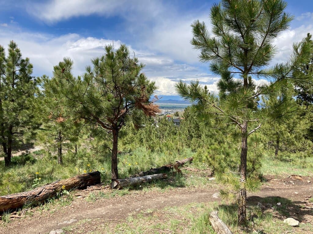 View out toward East Helena.