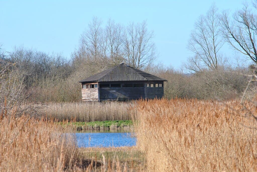 Reedbed hide - a great vantage place to spot birds on land, water and in the air!