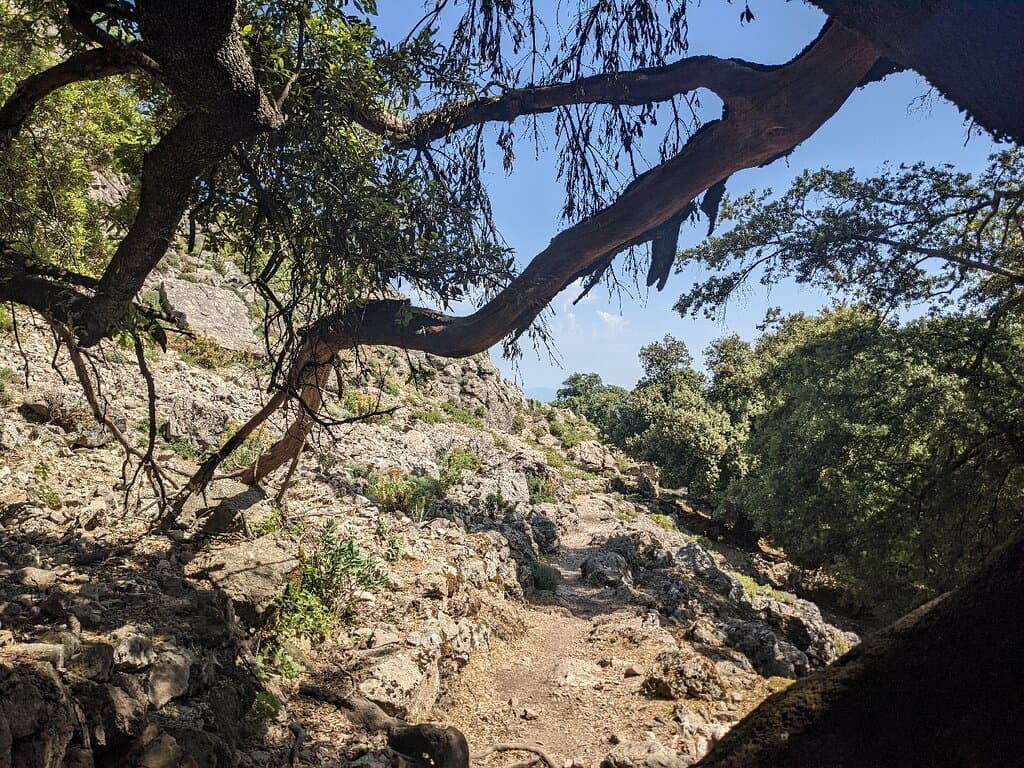 Gorropu Gorge Supramonte Sardinia