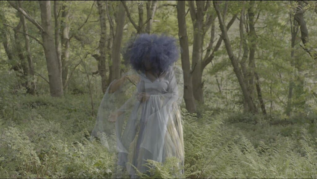 Video still Chapter 1
