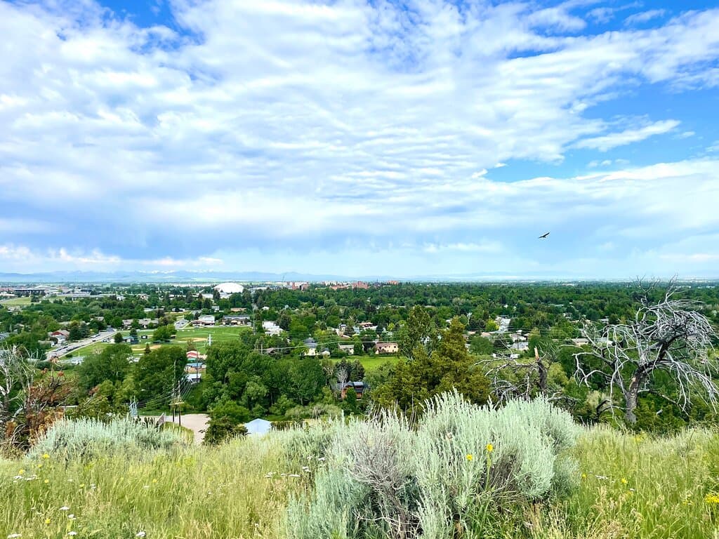 Peets Hill Burke Park Bozeman