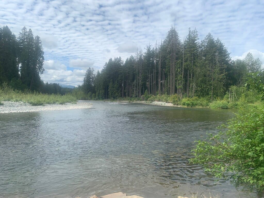 so tempted to swim in the river-seems safe