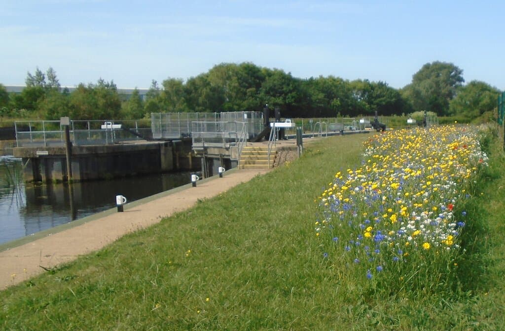 Lock  on the River Nene outside of Wellingborough 