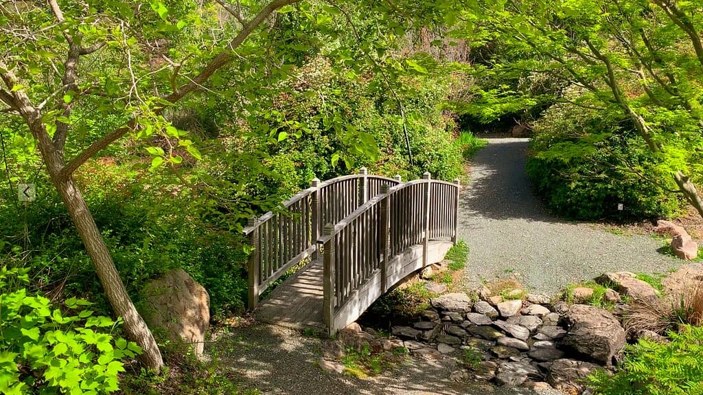 Bridge between upper and lower ponds