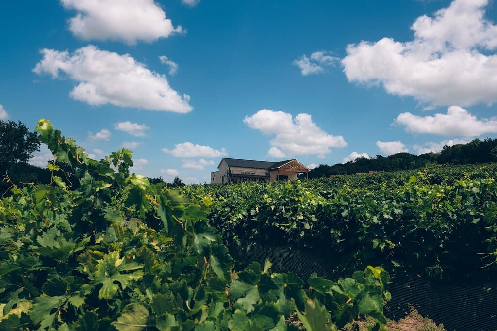 Our Estate Winery