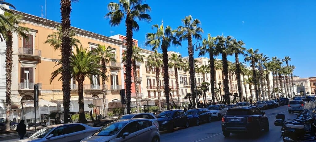 Avenue with traffic and parked cars.