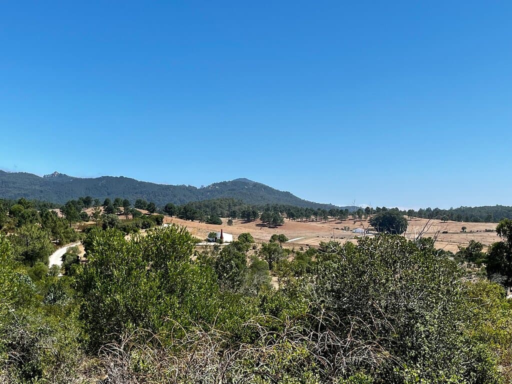 Pedra Amarela Campo Base
