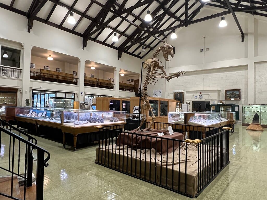 Mineral Museum Montana Tech