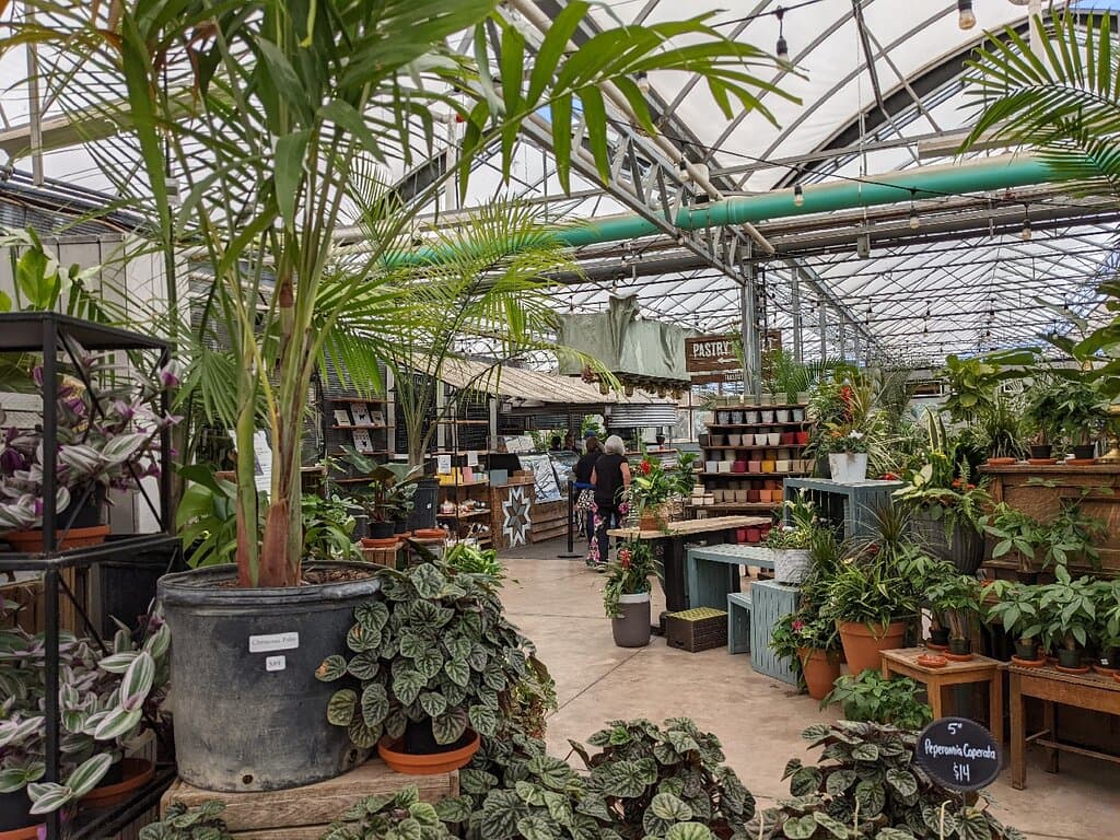 The Watering Can Flower Market