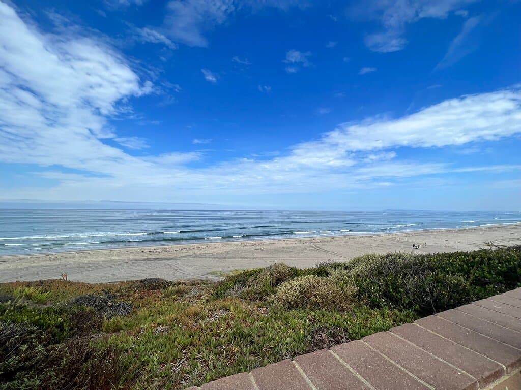 Border Field State Park