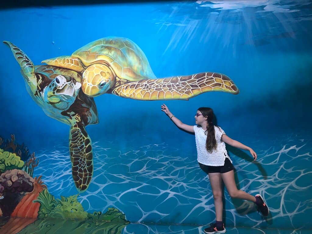 Experience the unique 'upside-down' house at Casa del Revés