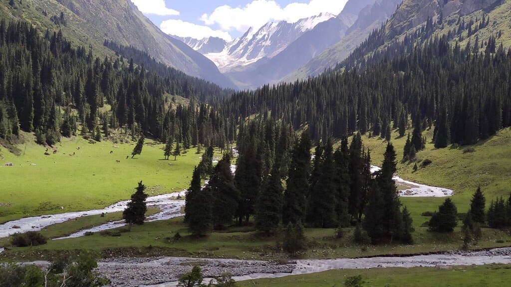 Chunkurchak Gorge Kyrgyzstan