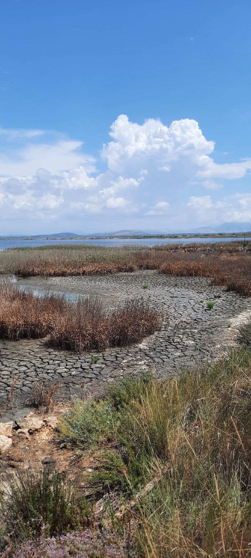 Ulcinj Salina Saltworks