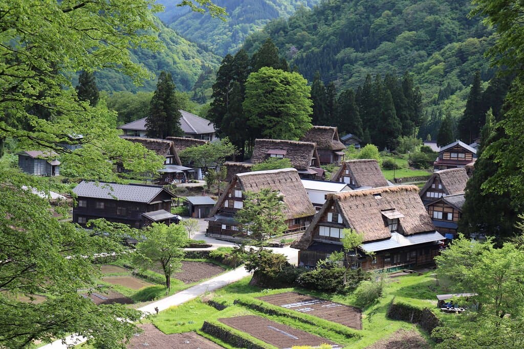 新緑の山々に囲まれた相倉合掌造り集落の眺め１