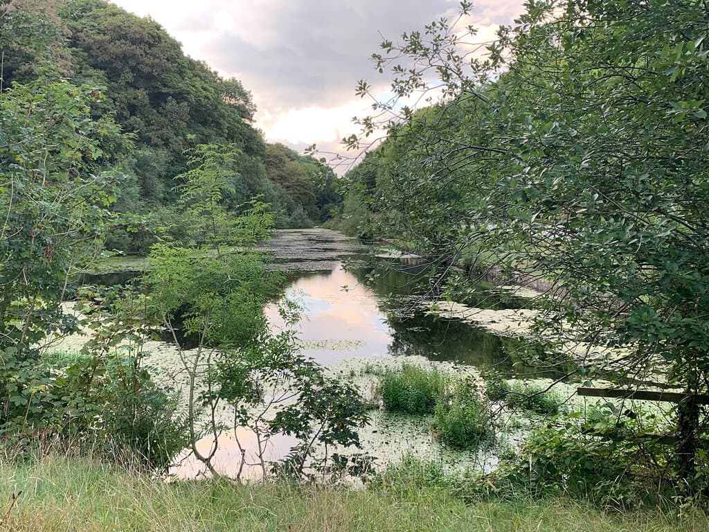 Moss Valley Country Park