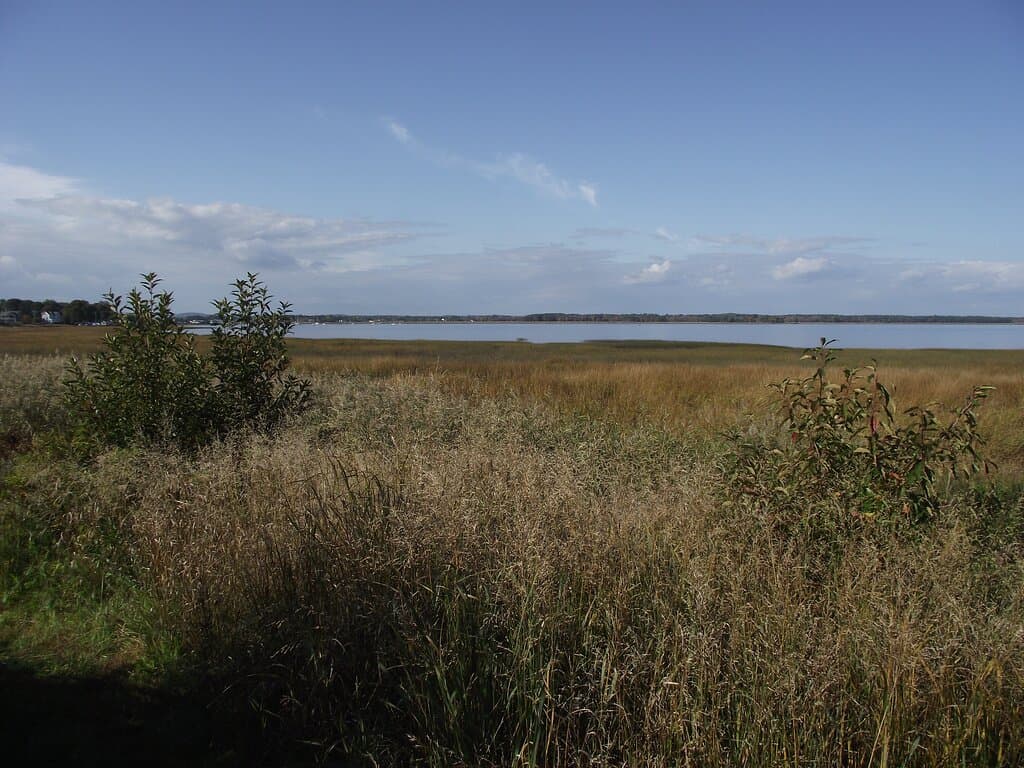 MA - NEWBURYPORT - AUDUBON - JOPPA FLATS - GROUNDS OUT BACK - #2