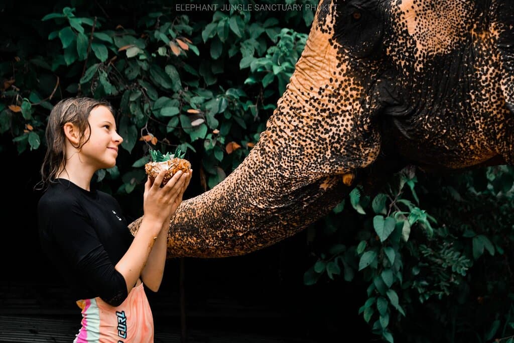 Elephant Jungle Sanctuary Phuket.