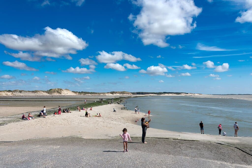Les Phoques de la Baie d'Authie