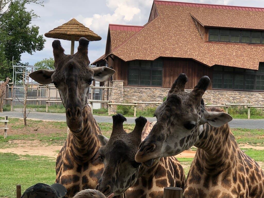 Turtle Back Zoo West Orange New Jersey