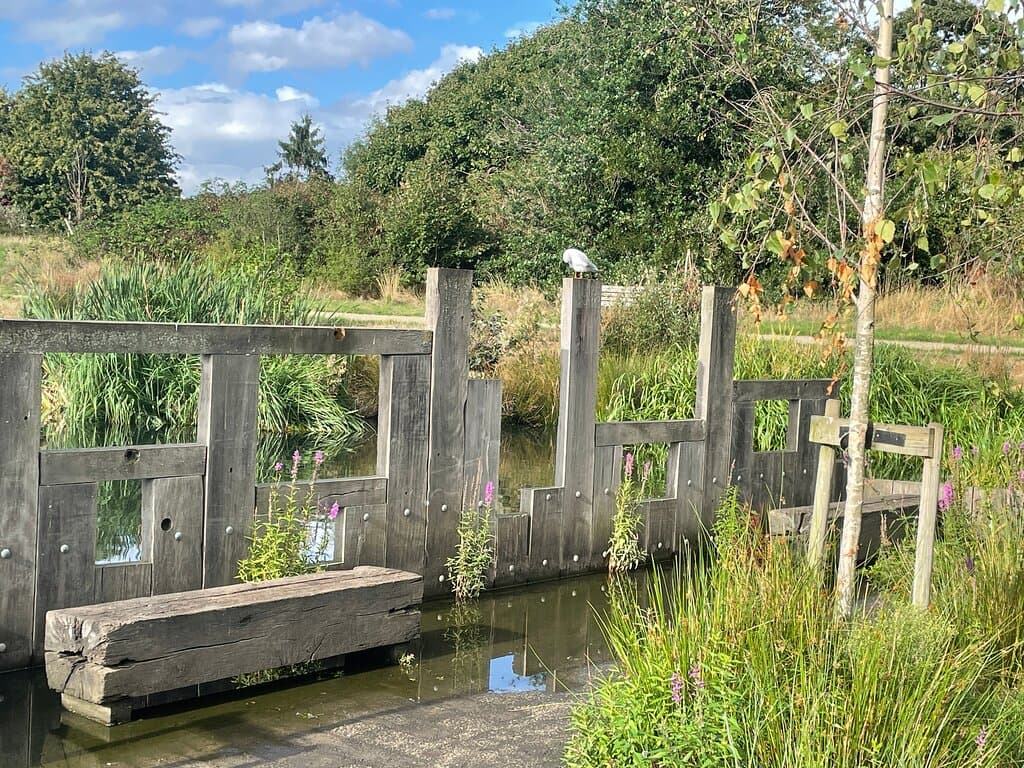 Heavy rain recently but the flood alleviation scheme is doing its job holding the water locally till it can slowly feed through our Suds / wetlands system 