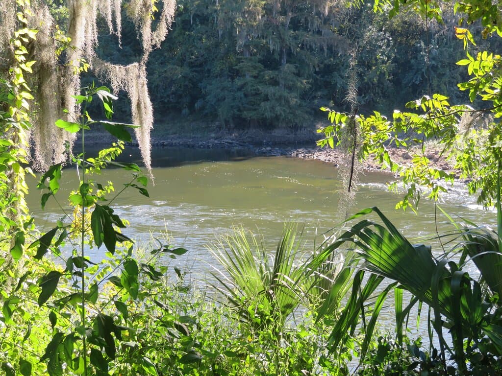 The Flint River abuts the plaza park on the east side