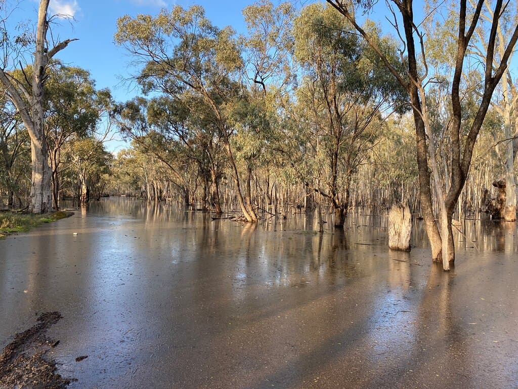Murray Valley National Park