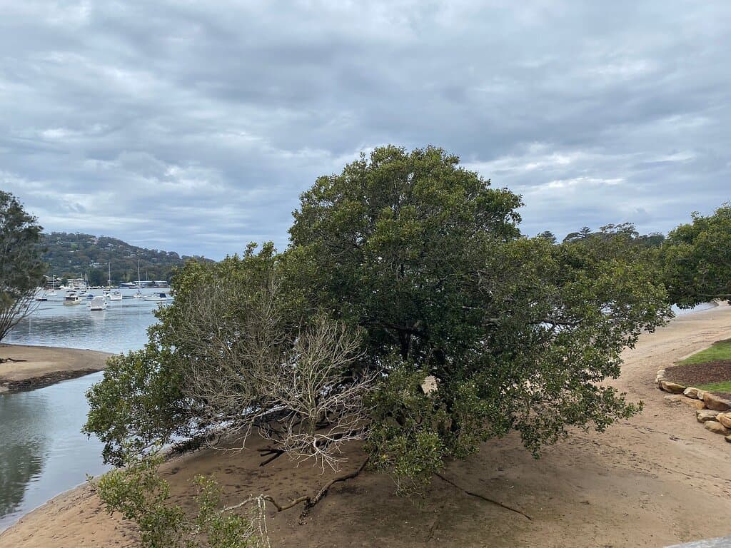 Rowland Reserve and Bayview Baths