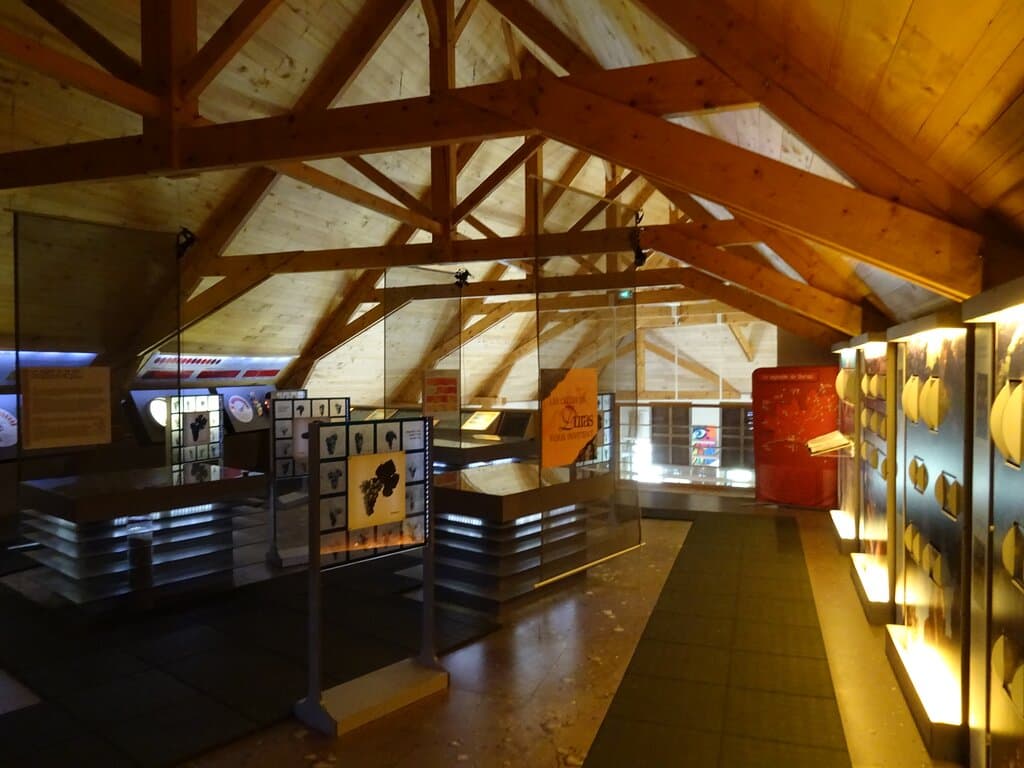 une exposition passionnante : tout savoir sur les vins de Duras !!!