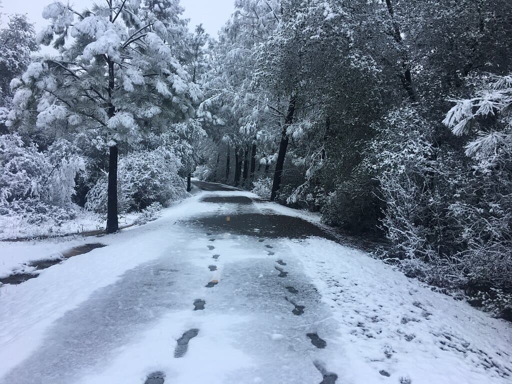El Dorado Trail California