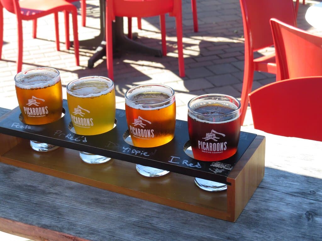 Petit arrêt au milieu de notre randonnée pédestre le long du Fleuve St John pour déguster quelques-unes des bières artisanales de la microbrasserie Picaroons, Fredericton, NB, Canada (Septembre 2022)