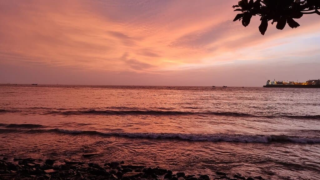 The sunset and sunrise at Fort Kochi Beach are something to look forward to. Going into the water is prohibited and it is not the cleanest of the beaches but the view is breathtaking.