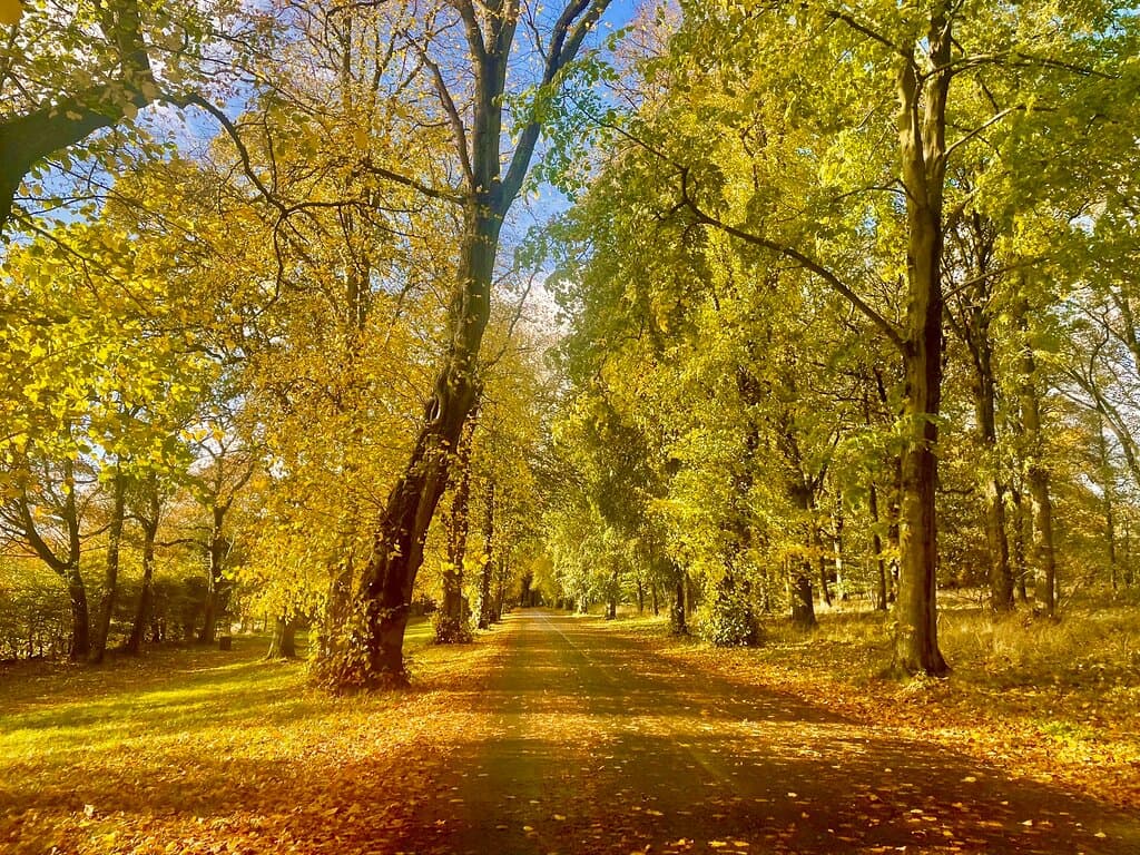 Camperdown Country Park Dundee