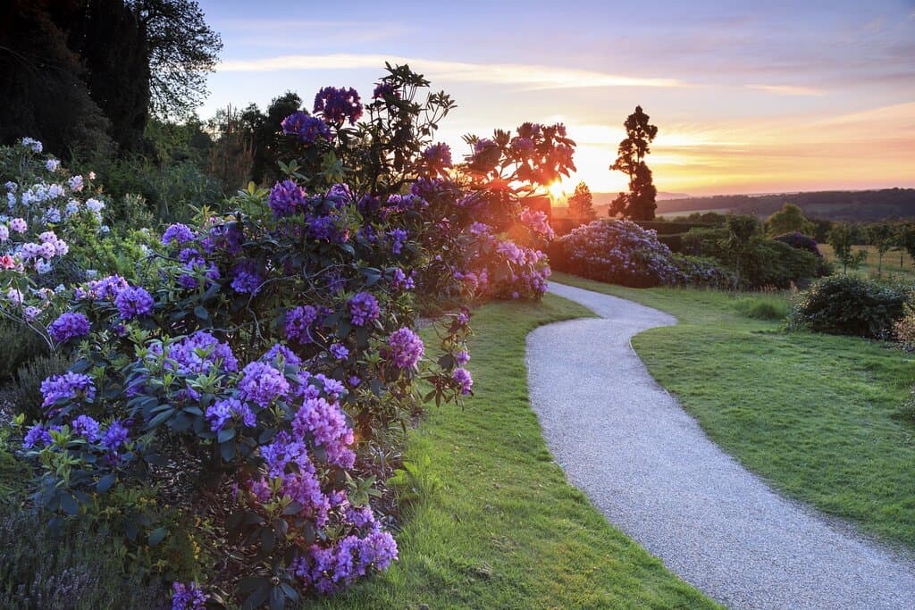 Sunset over the north garden at Emmetts Garden, Kent
©National Trust Images/John Miller