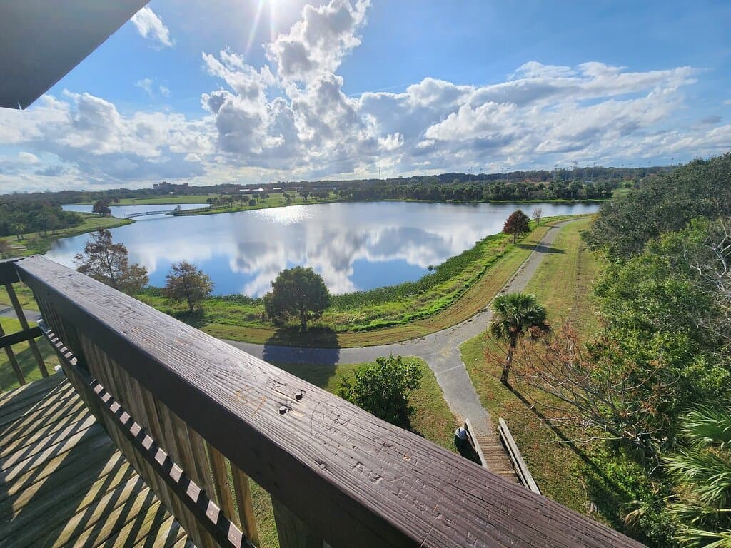 View from the Observation Tower