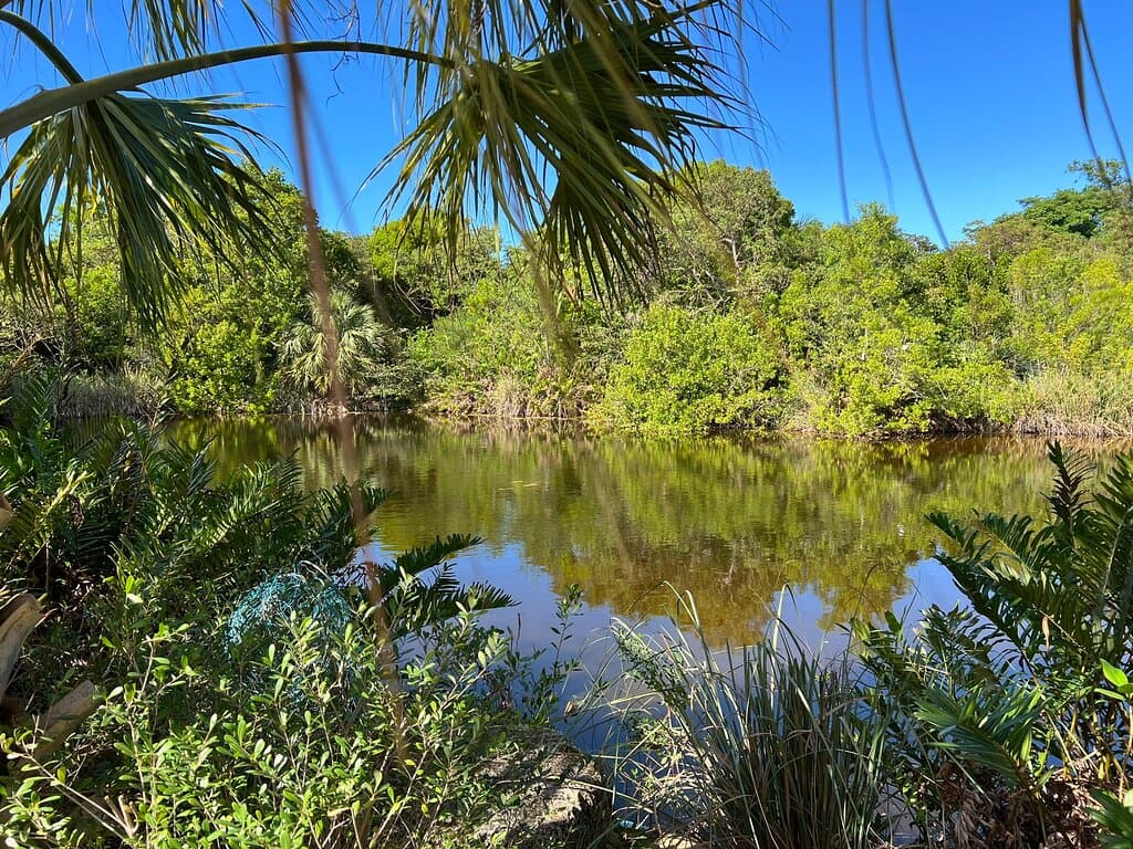 Key West Tropical Forest & Botanical Garden